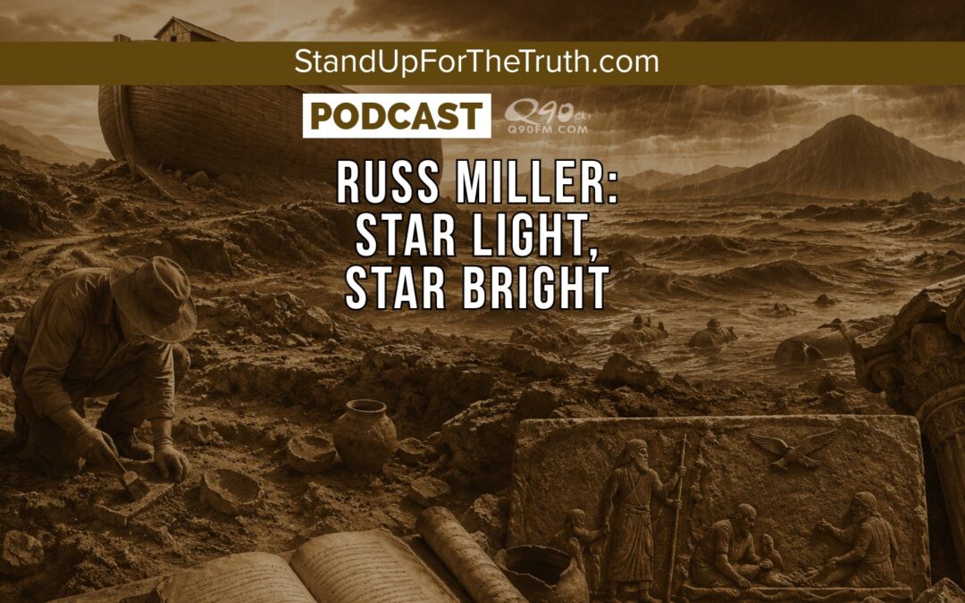 Russ Miller: Star Light, Star Bright